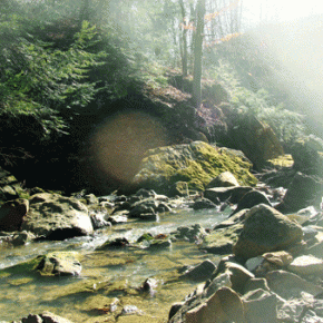 Everything is flowing~ Everything is flowing~