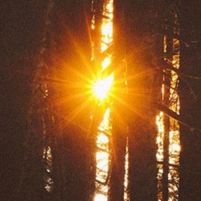 May we shine~ May we shine~