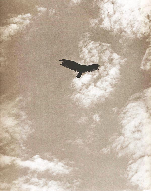Andreas--Feininger-