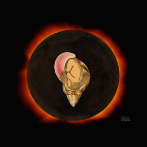 TOTAL Solar ECLIPSE + NEW MOON in Cancer + SOLSTICE June 20th-21st 2020~ TOTAL Solar ECLIPSE + NEW MOON in Cancer + SOLSTICE June 20th-21st 2020~
